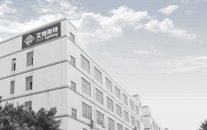 Our Office